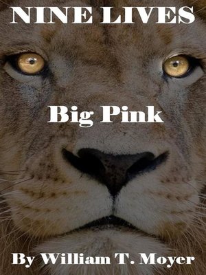 cover image of Big Pink